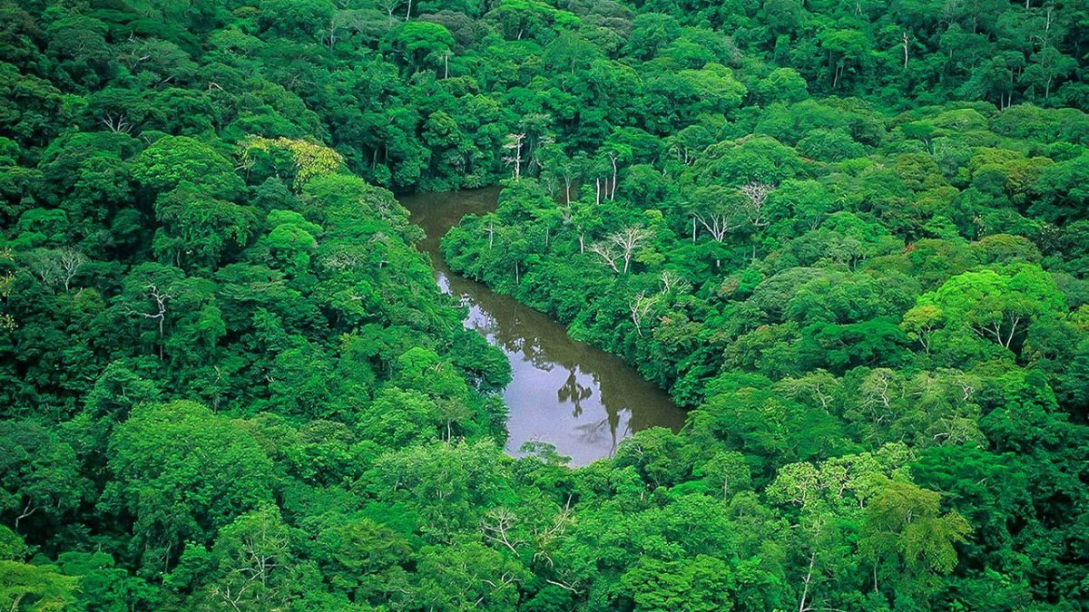 Parc-National-dIvindo2_-1200x675